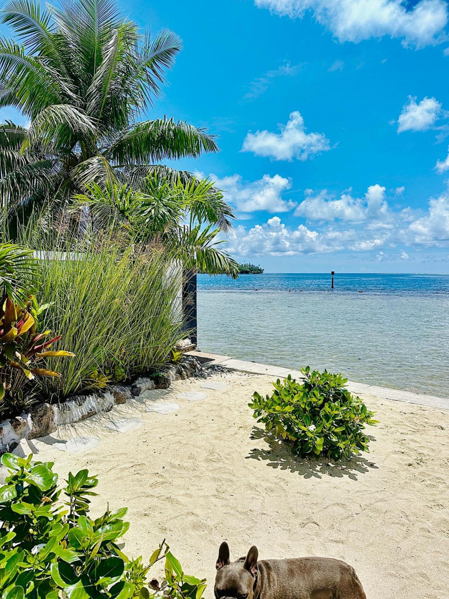 Pension Irivai, Appartement Uo Uo 3 Chambres Vue Mer Uturoa 外观 照片