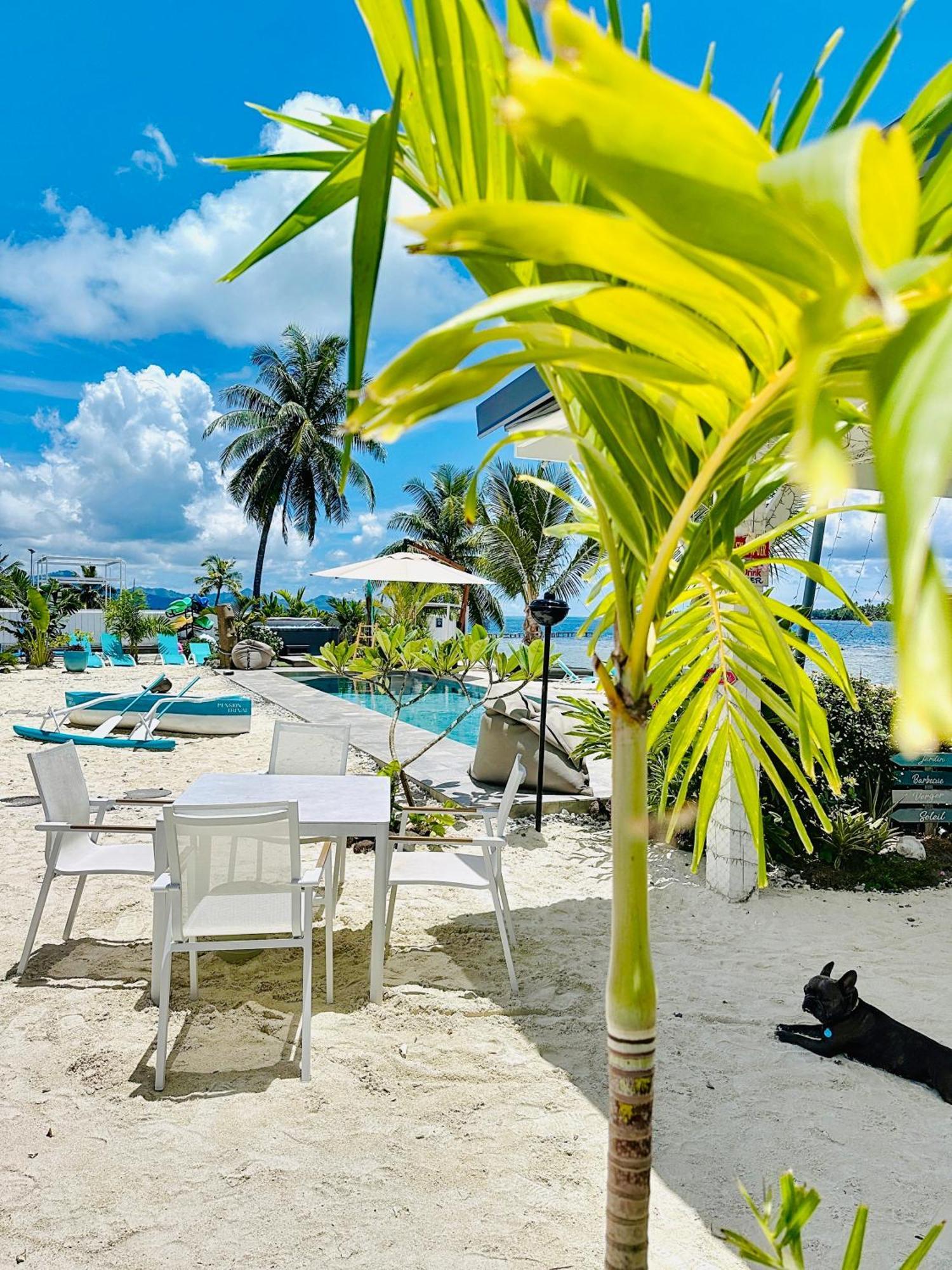 Pension Irivai, Appartement Uo Uo 3 Chambres Vue Mer Uturoa 外观 照片