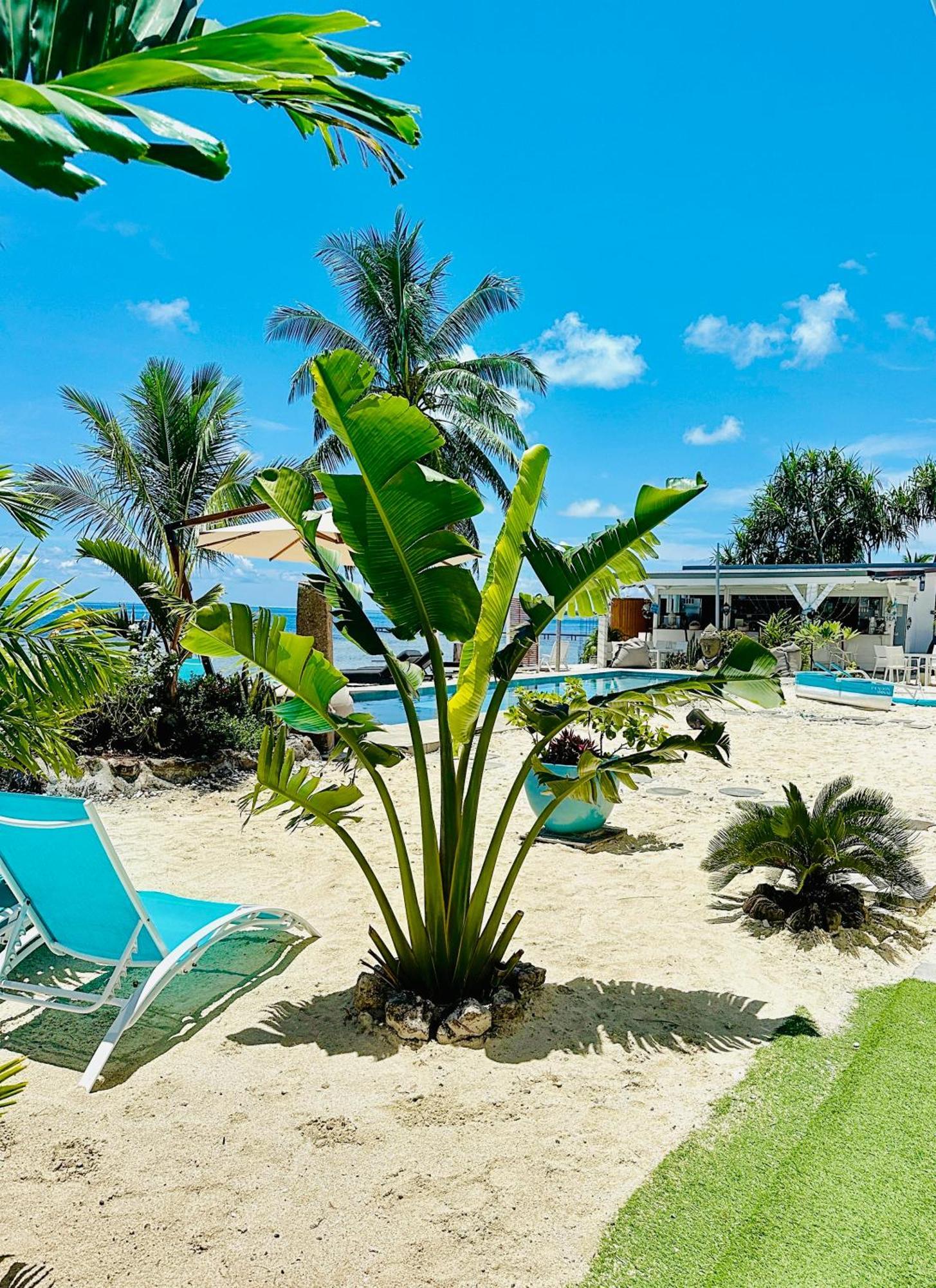 Pension Irivai, Appartement Uo Uo 3 Chambres Vue Mer Uturoa 外观 照片